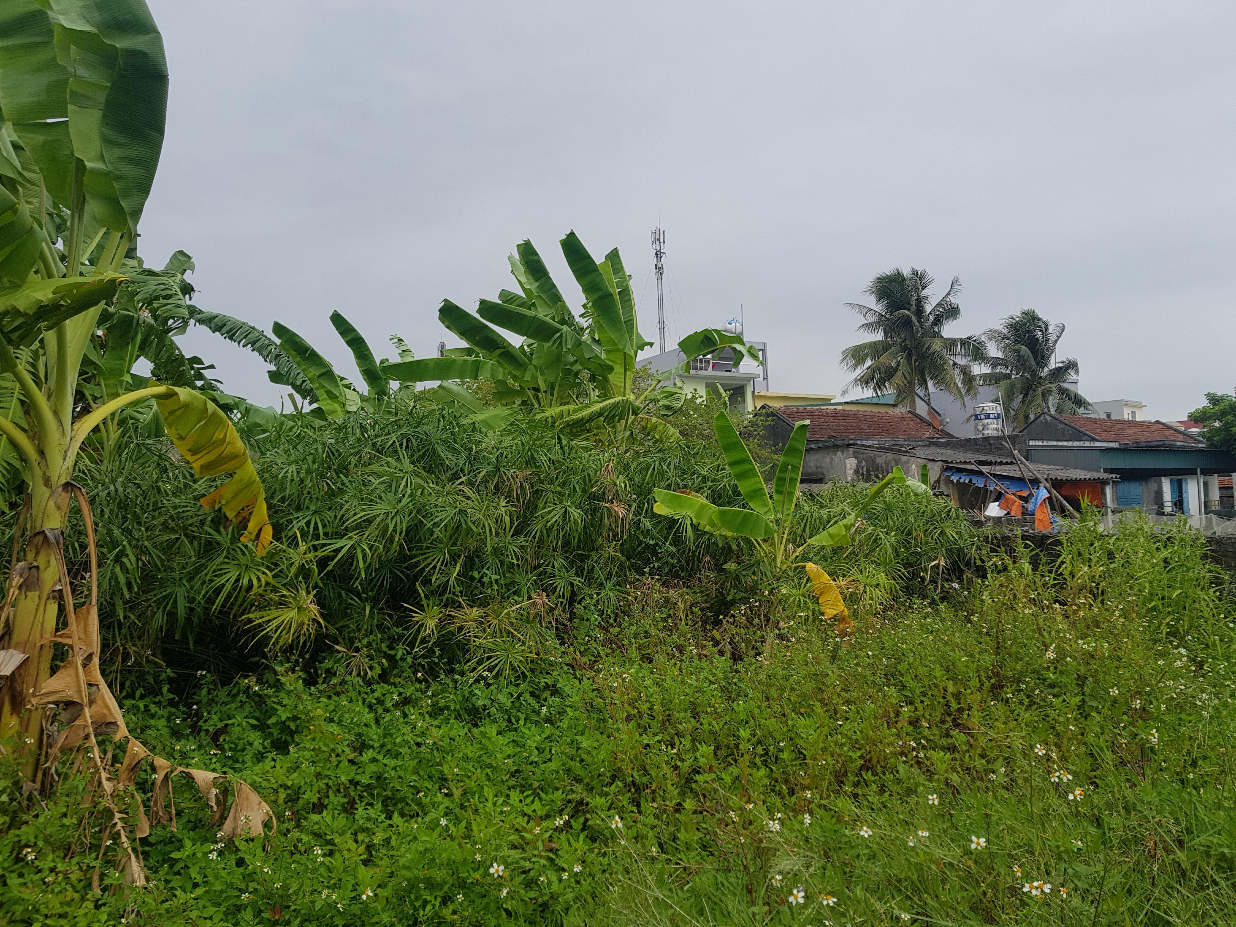 Sớm xem xét, giải quyết vướng mắc về đất đai của người dân